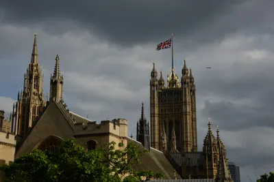 DSC_2826 (Large).JPG